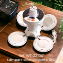 WT-ZZ1001