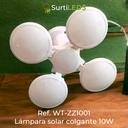 WT-ZZ1001